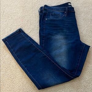 Wassio Denim High Rise Jegging, Size 16